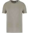 NS300 Unisex T shirt almond green colour image